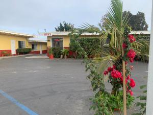 a hotel parking lot with a palm tree and flowers at Ventura Beach House Motel in Ventura