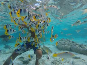 Afbeelding uit fotogalerij van La Perle Tahaa in Tapu' amu