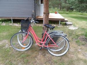 Dos bicicletas están estacionadas junto a un árbol. en Tihase puhkemajake, en Pärnu