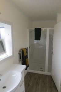 a bathroom with a shower and a white sink at Two Palms in Gisborne