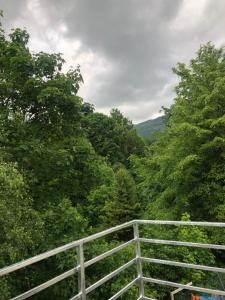 Príroda v okolí apartmánu