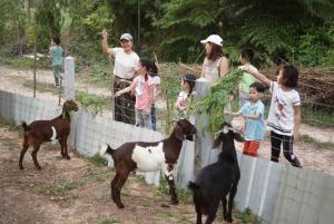 入住Xaiyong Resort - ไทรโยงรีสอร์ท的儿童
