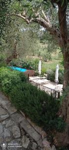 Gallery image of Amore a prima vista b&b in Campiglia Marittima