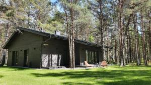 a cabin in the woods with two chairs in the grass at Sea House Dzelmes in Mazirbe