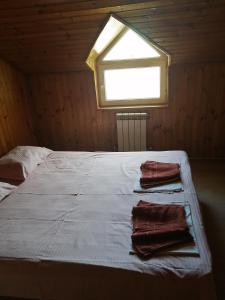 アドレルにあるMaria Guest Houseの窓とタオル2枚が備わるドミトリールームのベッド1台分です。