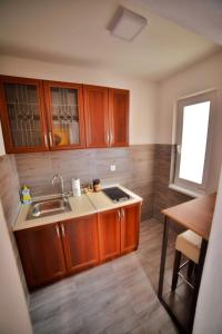 Η κουζίνα ή μικρή κουζίνα στο Studio apartmani Emili Bijeljina apartman br 1
