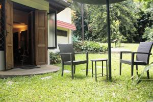 a group of chairs and an umbrella in the grass at Tranquil Resort - Blusalzz Collection, Wayanad - Kerala in Ambalavayal