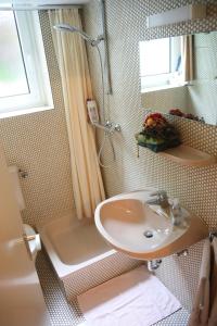 a bathroom with a sink and a shower at Apartment Centrum im Grünen in Nuremberg