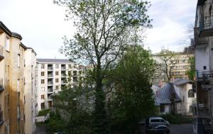 a tree in the middle of a city with buildings at Tenement Apartment 90m2 City Center in Krakow