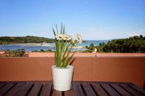 un vaso bianco con fiori seduti su un tavolo di Porto Coda Cavallo - Salina Bamba a San Teodoro