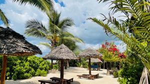 Gallery image of Samaki Lodge & Spa in Uroa