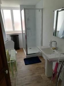 a bathroom with a shower and a sink and a mirror at Bruneval lodge in Dunkerque