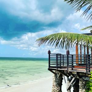 un banco sentado en la playa cerca del océano en Palumboreef Beach Resort, en Uroa