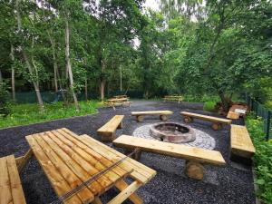 Κήπος έξω από το M&K Apartamenty Cztery Brzozy - Wyspa Sobieszewska