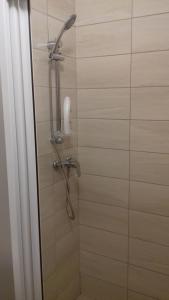 a shower with a shower head in a bathroom at Tiszafa Apartman in Csopak +19 photos