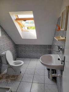 ein Bad mit einem WC und einem Waschbecken in der Unterkunft Statek pod Javořicí in Studená
