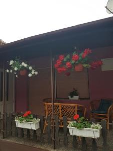 Fotografija v galeriji nastanitve Apartmani, sobe Žiža v mestu Bezdan