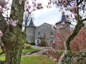Gallery image of Château de Vidaussan in Labroquère
