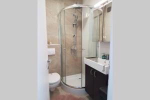 a bathroom with a shower and a toilet and a sink at Living Home, apartament cu două dormitoare și două băi in Cisnădie +9 photos