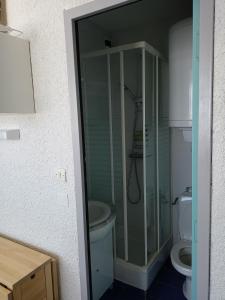 een badkamer met een douche en een toilet bij Résidence cambielh in Aragnouet