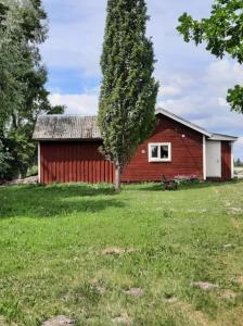 Budova, kde se penzion nachází + 20 fotografií