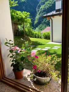 A garden outside Casa Curti