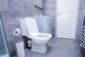 a bathroom with a toilet and a glass door at Cosy Executive City Apartment 2 in Doncaster