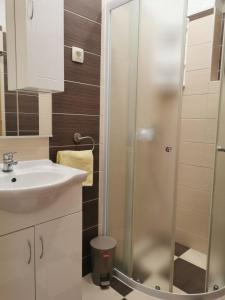 Koupelna v ubytování Apartman Ante + 6 fotografií