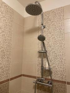a shower with a ladder and a shower head at Penzion U Martina in Mariánské Lázně +9 photos