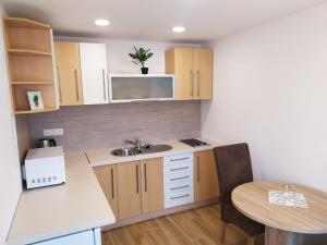 una pequeña cocina con fregadero y mesa en Garden & Pool apartment en Trnava