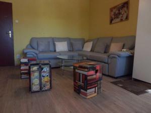 ein Wohnzimmer mit einem Sofa und einem Tisch mit Büchern in der Unterkunft apartmánový byt v centre Banskej Bystrice in Banská Bystrica