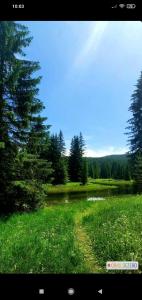 Paesaggio naturale nelle vicinanze dell'appartamento