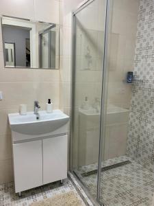 ein Bad mit einem Waschbecken und einer Dusche in der Unterkunft 024 Loft - Апартаменты ЖК «Софиевская Слободка» in Wyschnewe