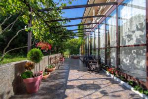 a walkway in a greenhouse with potted plants at Yellow House in Yakornaya Shchel