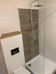 Koupelna v ubytování Apartmány LUXOR