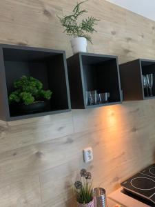 Kuchyň nebo kuchyňský kout v ubytování Apartmány LUXOR