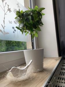 Fotografie z fotogalerie ubytování Apartmány LUXOR v destinaci Česká Lípa