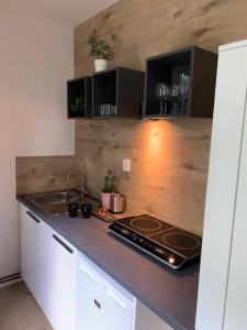 Kuchyň nebo kuchyňský kout v ubytování Apartmány LUXOR