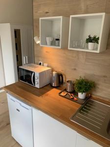 Kuchyň nebo kuchyňský kout v ubytování Apartmány LUXOR