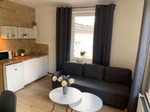 Kuchyň nebo kuchyňský kout v ubytování Apartmány LUXOR