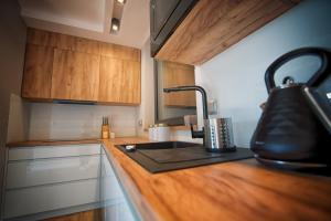 a kitchen with a counter top with a sink at Na Skraju Raju in Zator