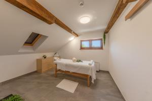 Lázně a/nebo wellness v ubytování Otočki Virovi