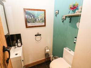 a bathroom with a white toilet and a sink at Trewrach Cottage in Newport Pembrokeshire +19 photos