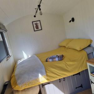 Postel nebo postele na pokoji v ubytování Tolverne Luxury Shepherd's Hut