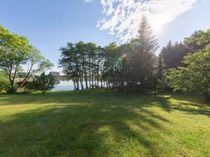 ein großes Grasfeld mit Bäumen und einem See in der Unterkunft Scheune am Loppiner See in Jabel
