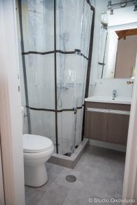 W łazience znajduje się toaleta, prysznic i umywalka. w obiekcie Studio Gerani 1 w mieście Porto Heli