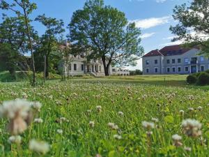 a field of flowers with houses in the background at Herbarium Hotel & Spa in Gąsawa
