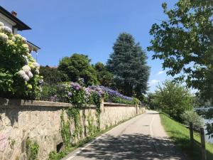 Zahrada ubytování Bnbook The terminal - 2 bedrooms apartment