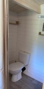 a bathroom with a white toilet in a room at Primrose Cabin in Dorchester