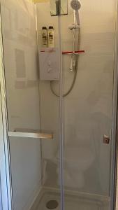 a shower with a glass door in a bathroom at Primrose Cabin in Dorchester